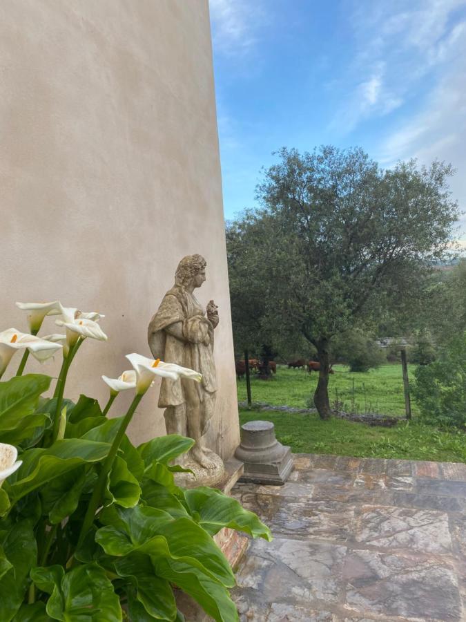 Casa Rural El Vihuelo El Bosque Esterno foto