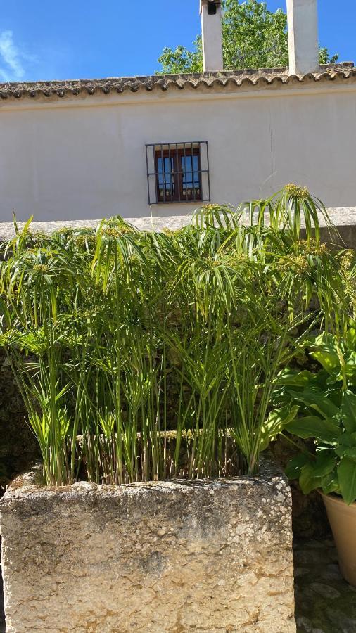 Casa Rural El Vihuelo El Bosque Esterno foto