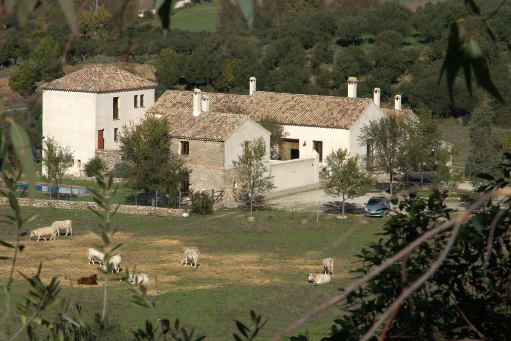 Casa Rural El Vihuelo El Bosque Esterno foto